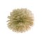 Pompon, kultainen, 35 cm – kuva 1
