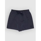 Quiksilver Everyday Surfwash Volley 15 Surffishortsit dark navy Miehet