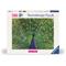 Ravensburger - Peacock - 500p (12001332) – kuva 5