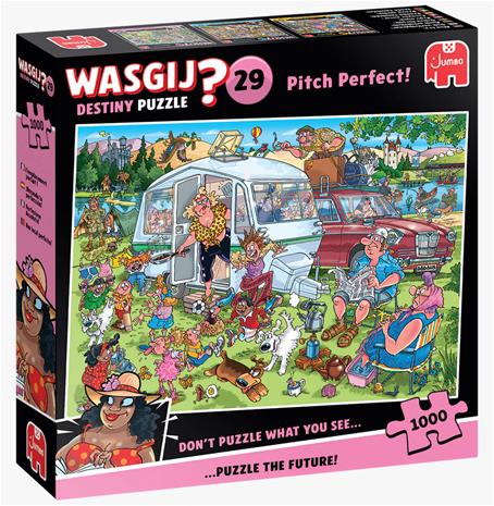 Wasgij Destiny 29 - Pitch Perfect! (1000)