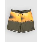 Quiksilver Everyday Half Jam 16 Surffishortsit grape leaf wordblock Miehet