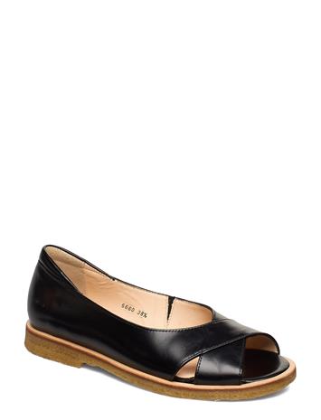 ANGULUS Sandals - Flat - Open Toe - Clo - Brown - 38