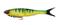 Berkley Nessie Soft Glide Bait 17 cm Firetiger – kuva 2