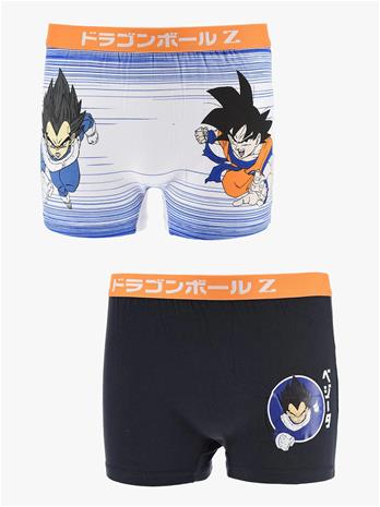 Dragon Ball Boxer Alushousut 2-pack, Moniväriset, 146-152