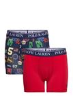 Ralph Lauren Kids Ud-Underwear - Multi/patterned - 140/152