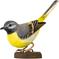 DecoBird Virtavästäräkki – kuva 1