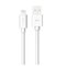 Silicon Power USB Type-A /Lightning johto – kuva 1