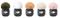 DJI Mic 3 Multi-Color Windscreens – kuva 6