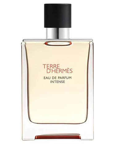 Hermès Terre d'Hermès Intense - EdP 100 ml