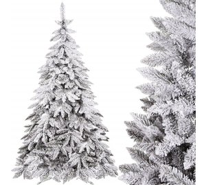Kaukasian lumikuusi Springos CT0126 250cm
