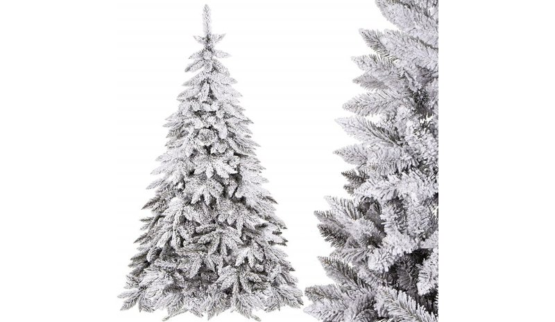 Kaukasian lumikuusi Springos CT0126 250cm