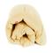 Fiam Fiesta Soft aurinkotuolin pehmuste Beige – kuva 2