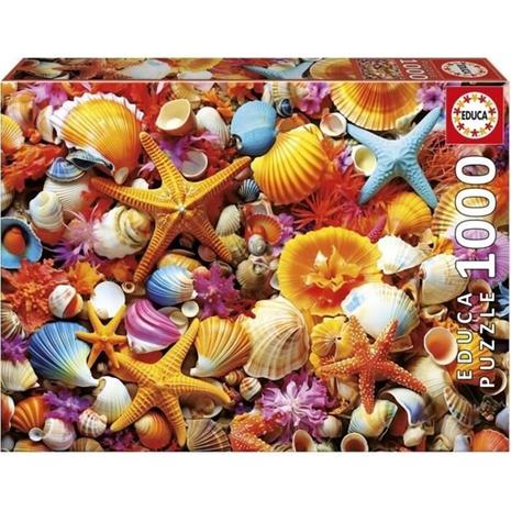 Educa 1000 Shell Collage