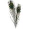 DIY Kit - Peacock feathers 10pc (51810) – kuva 5