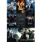 Julister: Harry Potter - Collection (91.5x61cm) KOTIIN