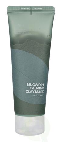 ISNTREE - Real Mugwort Calming Clay Mask