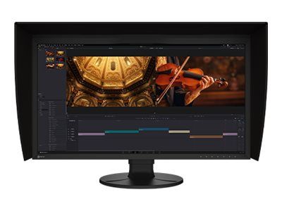 31" EIZO CG3100x ColorEdge