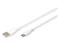 DIGITUS - USB-C cable - USB to 24 pin USB-C - 50 cm – kuva 3