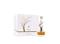 Aurora Deciduous Summer - EdP 100 ml – kuva 3