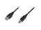 DIGITUS ASSMANN - USB cable - USB to USB Type B - 5 m – kuva 2