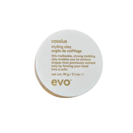 Evo Cassius Styling Clay (15g)