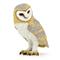 Pöllö – kuva 1