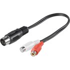 Pro DIN 5 pins m - 2xRCA F - 0.2m