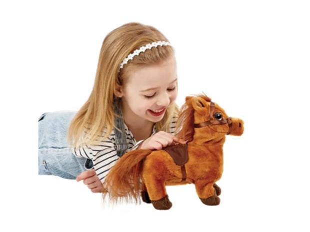 Happy Pets Walk Along Pony