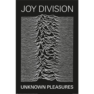 JOY DIVISION (UNKNOWN PLEASURES)