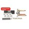 Roth Touchline SL complete wireless heating package, 6 rooms – kuva 2