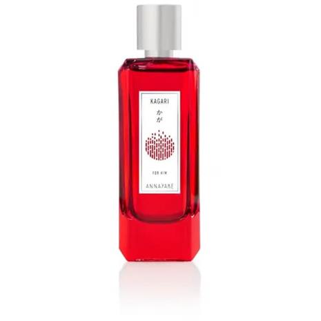 KAGARI FOR HIM edt vapo 100 ml