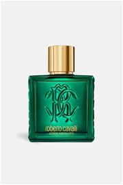Roberto Cavalli Verde Assoluto Uomo 100 ml Miesten