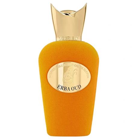 Erba Oud Eau de Parfum Spray 100ml