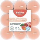 Bolsius-tuoksut kynttilät persikka, 18 kpl, 6 tuntia.