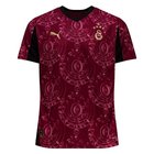 Puma Galatasaray SK 25/26 Third Jersey Men