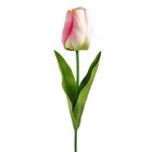 Tekokukka - Vaaleanpunainen/keltainen tulppaani, 67 cm