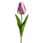 Tekokukka - Liila/keltainen tulppaani, 67 cm