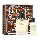 Giftset Hermes Terre d'Hermes Edt 100ml + Shower Gel 80ml