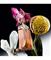 Mugler Alien Goddess Supra Florale EDP 60 ml – kuva 5