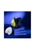 thumb94635632
