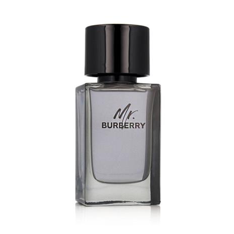 Burberry Mr. Burberry - EdT 100 ml