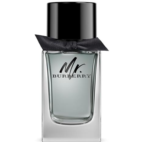 Burberry Mr. Burberry - EdT 100 ml
