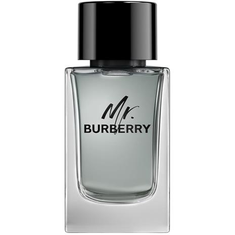 Burberry Mr. Burberry - EdT 100 ml