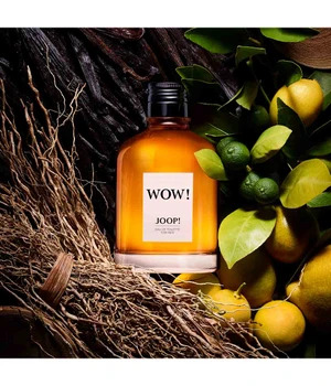 JOOP! Wow Men - EdT 60 ml