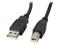 Lanberg - USB cable - USB to USB Type B - 5 m – kuva 3