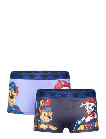 Paw Patrol Boxer - Multi/patterned - 110/116