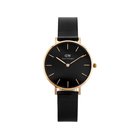 Daniel Wellington DW00100201 - Petite Ashfield (zx704d)