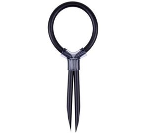 Chisa Stud Cock Ring Penisrengas