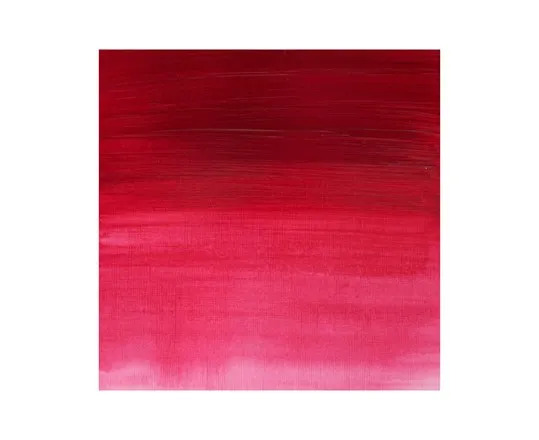 Prof Acrylic 200ML PERMANENT ROSE 502