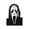 Scream-mask – kuva 1